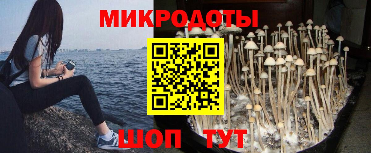 Удомля  Галлюциногенные грибы мухоморы  Галлюциногенные грибы мухоморы  Вход с VPN 